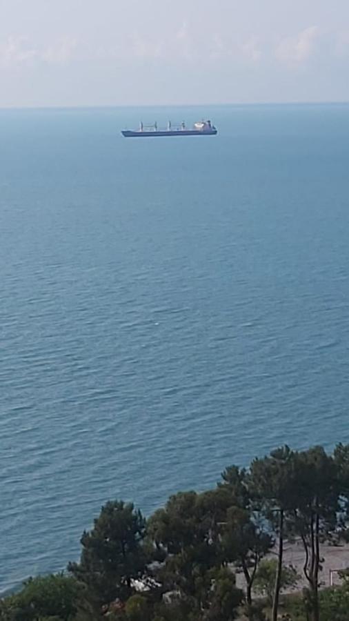Жемчужина У Моря 바투미 외부 사진